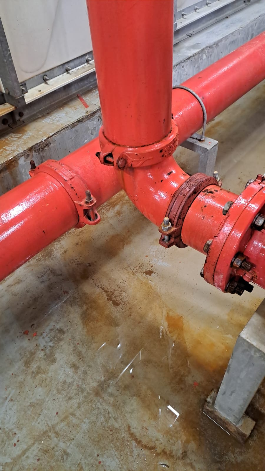 Novaroots Project 27